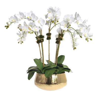 Phalaenopsis Orchids in Gold Metal Bowl