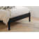 Adeoye Rattan Panel Bed