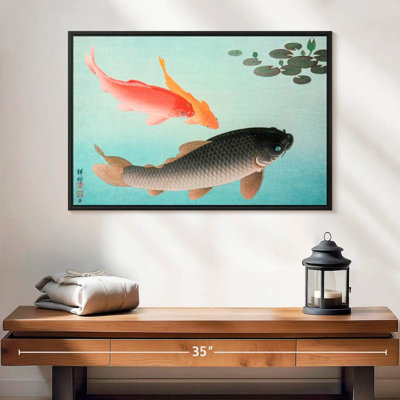 Common And Golden Carp