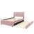 Rose est en rupture de stock