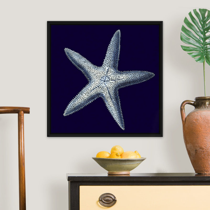 « Indigo shells IV » par vision studio-impression, Cadre noir, H 38 po x l 38 po x 1,75 po