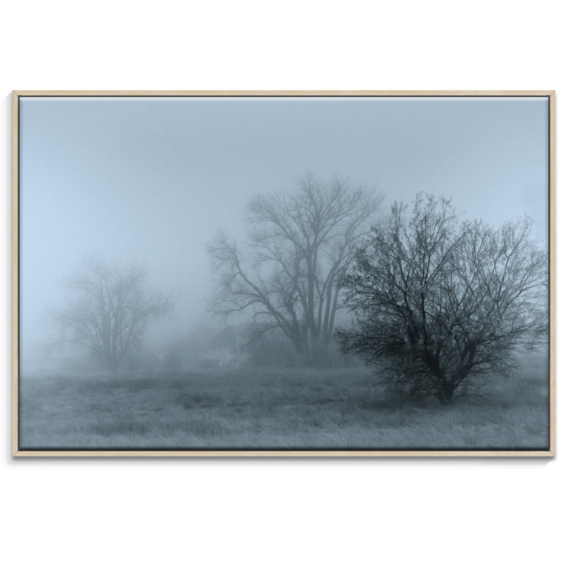 Print on Canvas, 102cm H x 152cm W, Timber Floater Frame
