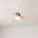 54" Norden 3 - Blade LED Standard Ceiling Fan with Remote Control and Light Kit Included