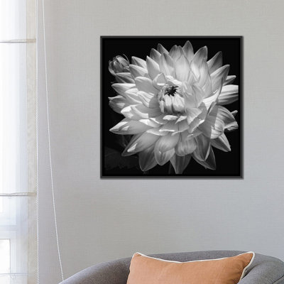 «White Dahlia II», impression sur toile