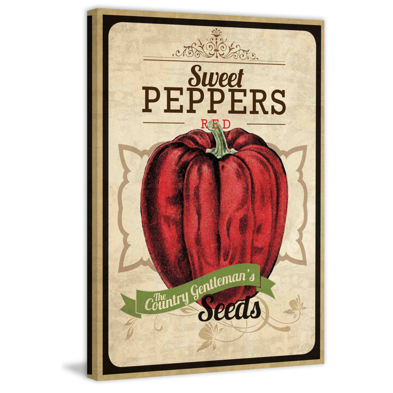 Seed Packet Pepper - Wrapped Canvas Print, 76 cm H x 51 cm W
