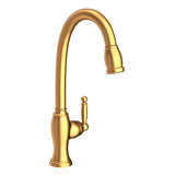 Nadya Single Handle Pull Down Kitchen Faucet