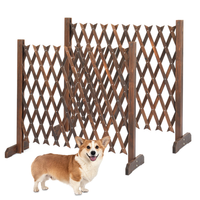 Ensemble de 2 clôtures de jardin extensibles en bois, Brun clair