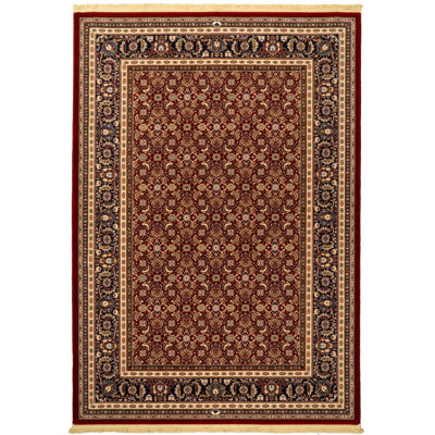 Cirro Wool Oriental Indoor Rug