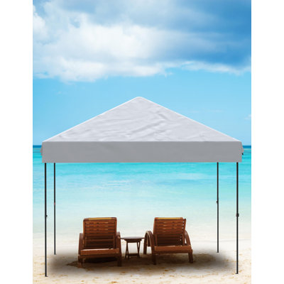 Auvent escamotable 10 x 10 pi avec support renforcé, auvents imperméables portatifs d'extérieur avec hauteur réglable pour patio, jardin