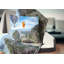 Coussin paysage de montagne et ballon-30062096-30062099
