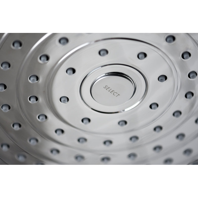 Pomme de douche à 2 jets Hansgrohe Raindance Select S 240, 2,5 gallons par minute, Chrome