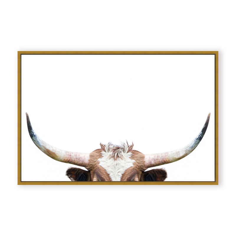 Nature Inspired Peeking Longhorn Cow by  - Picture Frame Photograph on Paper, 32" H x 48" W x 1.125" D, Framed Matted Print