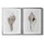 «Sea Front Shell I», ensemble de reproduction de peinture-1212542319-1212542308