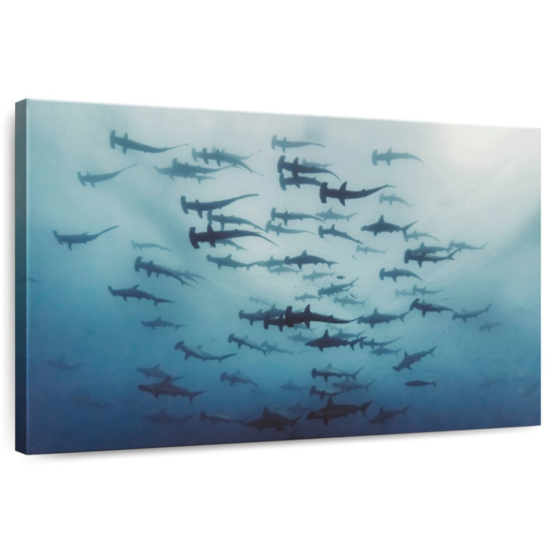 Frisson de requins marteaux, H 20 po x l 30 po
