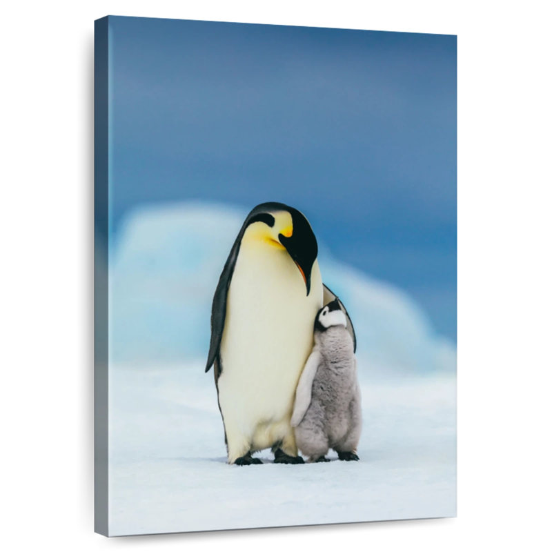 Brampt Loving Mother Penguin, 48" H x 32" W