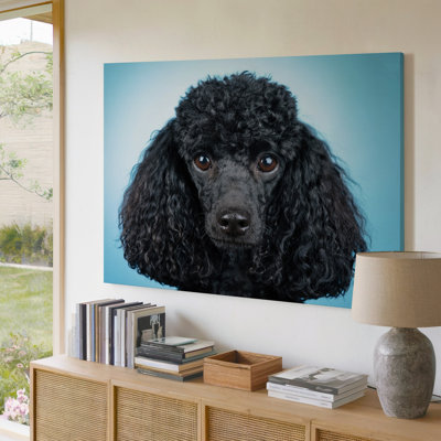 Black Poodle Dog Close-Up Portrait Animal Pet Home Decor Canvas Wall Art Print For Living Room, Bedroom, Office, Hallway, Entryway, Gallery Wall And Modern Home Decor