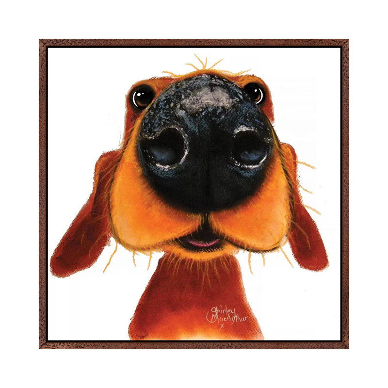 Nosey Nando by Shirley Macarthur - Gallery-Wrapped Canvas Giclée on Canvas, 93.98 cm H x 93.98 cm W, Classic Wood Framed