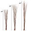 English Willow Branch-1769193754