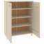 Shoe Storage Cabinet