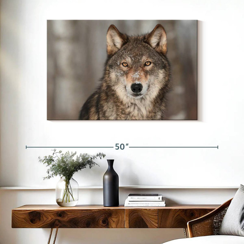 Loup gris Brampt, H 26 po x l 39 po
