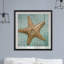 « starfish », impression encadrée-1242367228