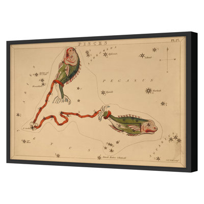 Pisces Print by Grand Archives