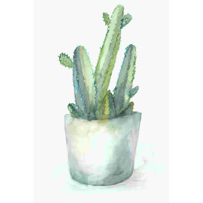 Cactus en pot