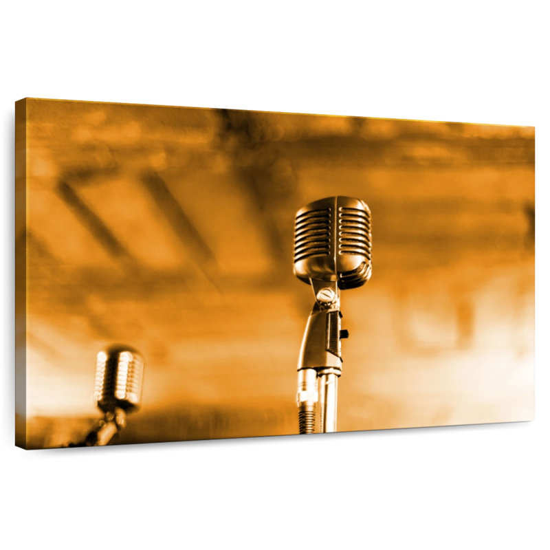 Microphone de concert Abarca, H 8 po x l 12 po