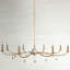 Loretta Chandelier