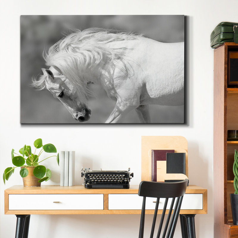 Étalon blanc - reproduction de photo sur toile tendue, H 48 po x l 32 po x P 1 po