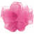 Jolie rose est en rupture de stock