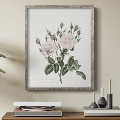 Vintage Floral Print CXLVII Framed Print - Solid Wood