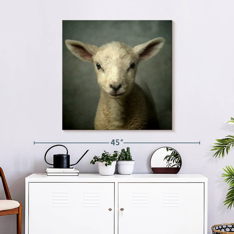Crowle Newborn Lamb, 30" H x 30" W