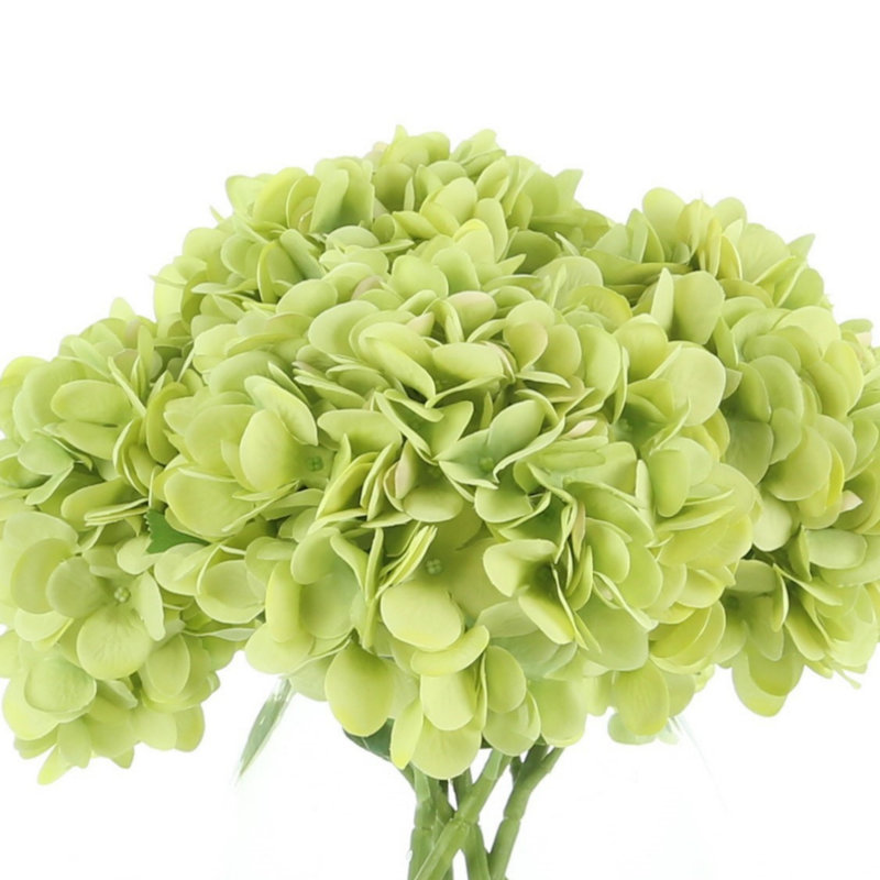Hydrangea Bouquet In Vase, Green