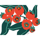 Berries Print by Trish Sierer