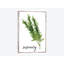 « aquarelle herbes v », impression sur toile-28020467-72559844-72559846