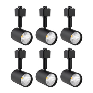 https://assets.wfcdn.com/im/16809974/resize-h310-w310%5Ecompr-r85/2095/209567095/led-adjustable-track-lighting-head-set-of-6.jpg