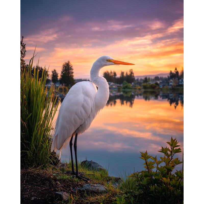 «Egret at Sunset», art mural sur toile tendue, H 24 po x l 16 po