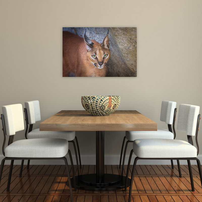 Caracal'S Watchful Gaze Contemporary Cat Wall Art Print by Jeffrey C. Sink - 1 Piece Wrapped Canvas Wall Art