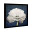 «White and Blue Rose Flower», impression encadrée-68785435-68785436