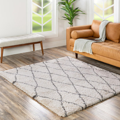 Geometric Indoor Rug