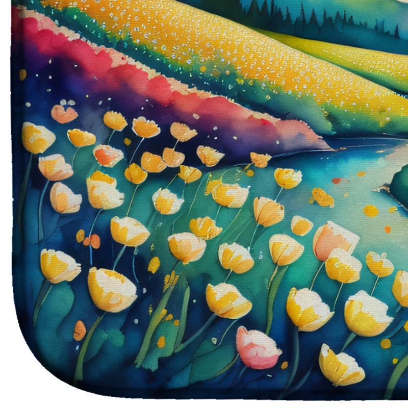 Tapis de séchage