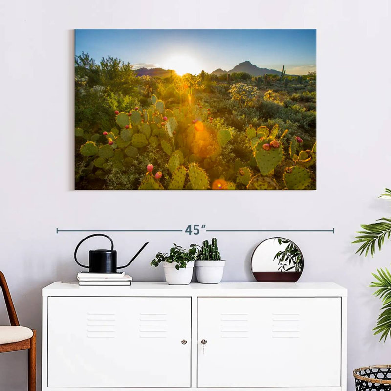 Harnek Cactus Desert Garden, H 26 po x l 39 po