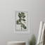The Foliage by Parvez Taj - Single Picture Frame Print-790183313