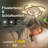 Modern LED Ceiling Light Adjustable Wind Speed-1464162127