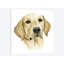 « human best friend », impression sur toile-29282498-74731417-74731422