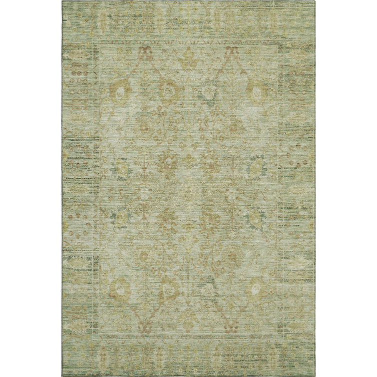 Premium Machine Washable Wayne AMF1106 Global Rug