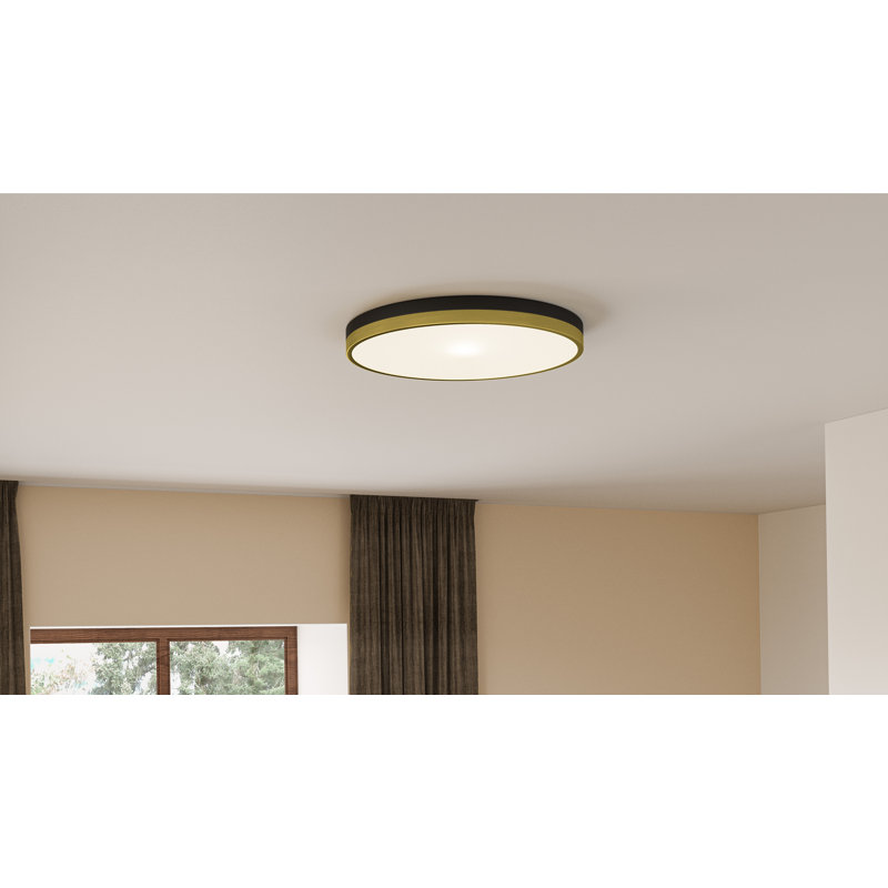 Acrylic LED Flush Mount, Matte Black/Gold