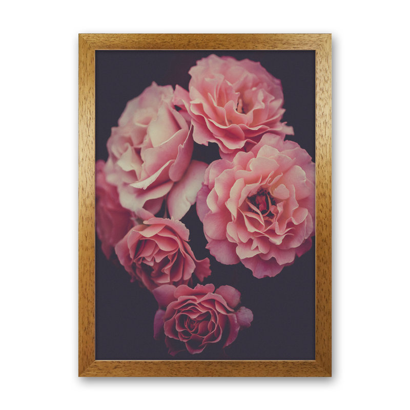 Dreamy Roses - No Frame Print, Brown Framed, 46cm H x 34cm W x 3cm D