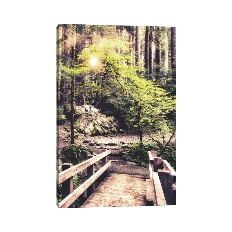 Sunlight On The Forest Path by Andy Amos - Print on Canvas, 20.32 cm H x 30.48 cm W, Wrapped Canvas